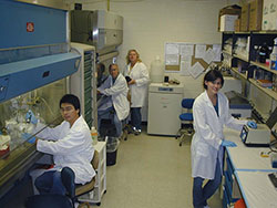 Dr. Monteiro's lab