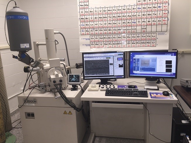 SEM (Scanning Electron Microscope) microphotographs of manganese