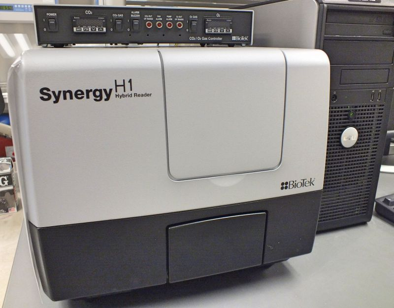 synergy equipment linkedin