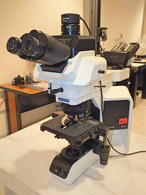 Olympus BX43